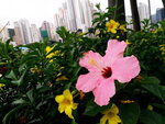 DSCN06380
