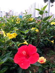 DSCN06381