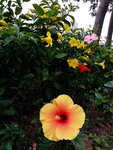 DSCN06382