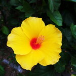 DSCN06384