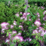 DSCN06385
