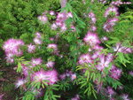 DSCN06386