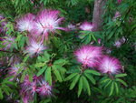 DSCN06388