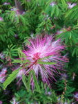 DSCN06389