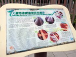 DSCN06408