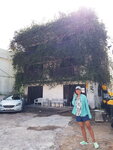 DSCN3518