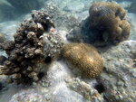 DSCN3579