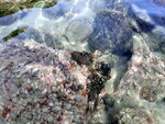 DSCN3580
