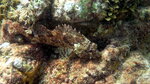 DSCN3582