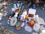 DSCN3588