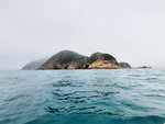 DSCN42247
