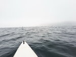 DSCN42313