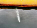 DSCN05494