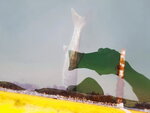 DSCN05496