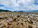DSCN05485