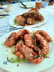 DSCN04008