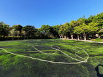 DSCN12882