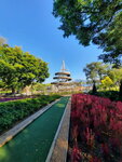DSCN12907
