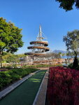 DSCN12908