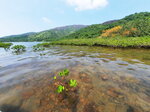 DSCN33801
