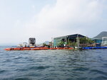 DSCN0336