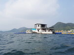 DSCN0337