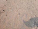 DSCN0359