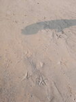 DSCN0361