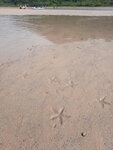 DSCN0362