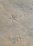 DSCN0364