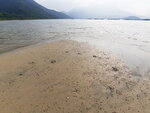 DSCN0377