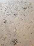DSCN0379