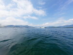 DSCN02298