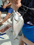 DSCN03766