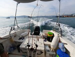 DSCN03782