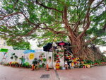DSCN01297