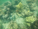 DSCN01343