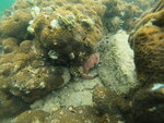 DSCN01346