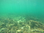 DSCN02724