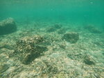 DSCN02727