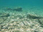 DSCN02728