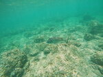 DSCN02730