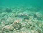 DSCN02731