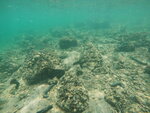 DSCN02732