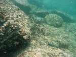 DSCN02734
