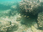 DSCN02735