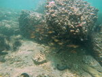 DSCN02736