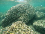 DSCN02737