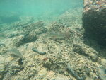 DSCN02739