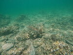 DSCN02741